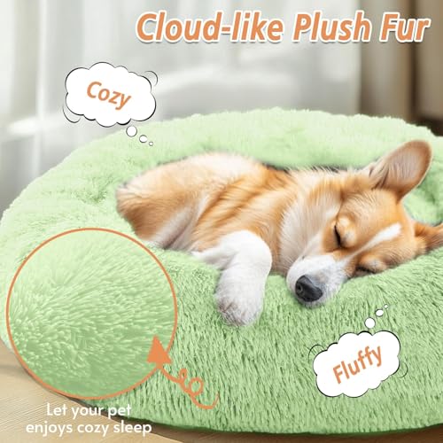 Calming Dog Bed Medium Size Dog (Light Green / 31.0"L x 31.0"W x 8.0"Th)