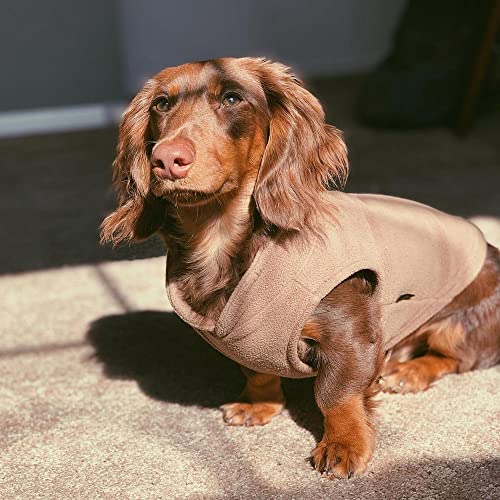Fleece Vest Dog Sweater (Clay / X-Small (Around 4-lb))