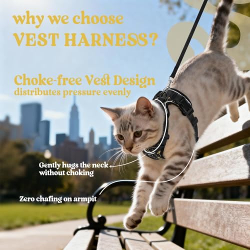 Cat Harness and Leash Set (Xs / Lunar Prowl)