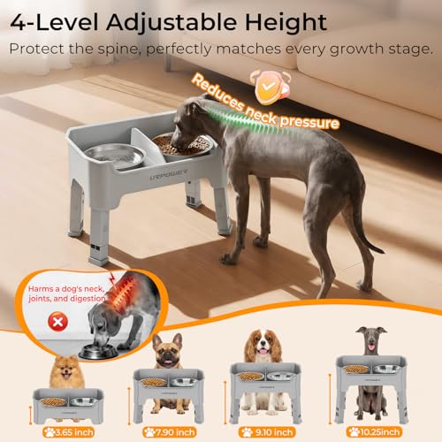 Mess Proof Elevated Dog Bowls for Small Dogs with Splash Guard (Light Grey / Small)