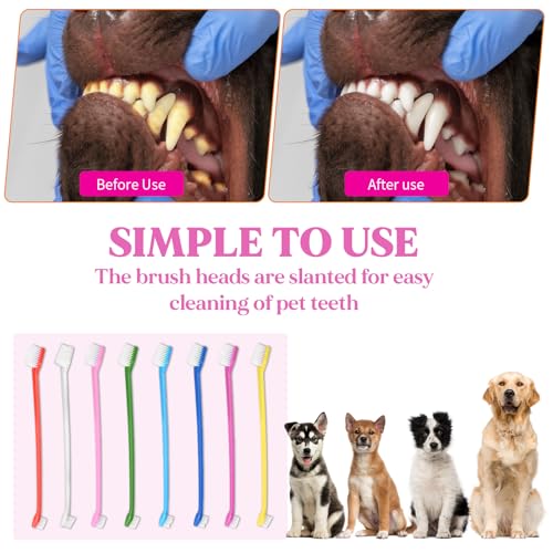 200Pcs Dog Toothbrushes (200pcs-8 Colors)