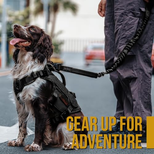 Tactical Bungee Leash with 2 Handles Quick Release (Black / 85cm-118cm/33.5in-46.5in)