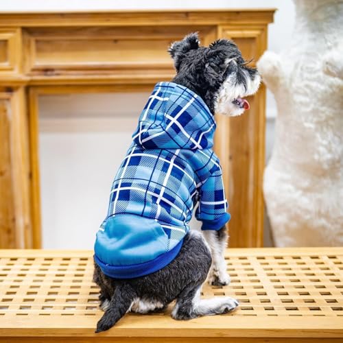 Plaid Dog Hoodie (S-Medium / Blue)