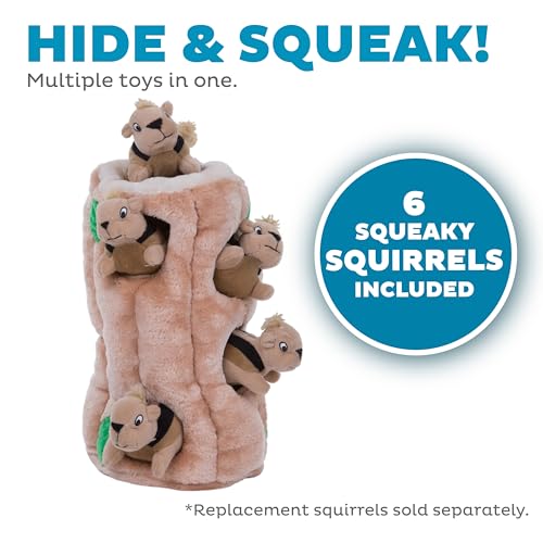 Hide-A-Squirrel Plush Squeaky Dog Toy, XL, 7" x 11.8" (Squirrel Xlarge / X Large (Pack of 1))
