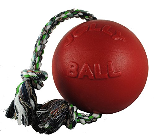 Romp-n-Roll Rope and Ball Dog Toy, 4.5 Inches/Small, Red (Red / Small (4.5 in))