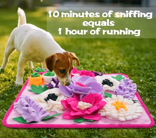 Snuffle Mat for Dogs (pink)