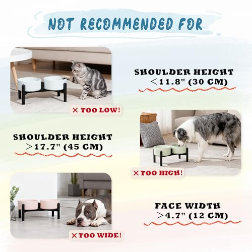 Ceramic Elevated Dog Bowl Set (Green / 3.5 Cups)