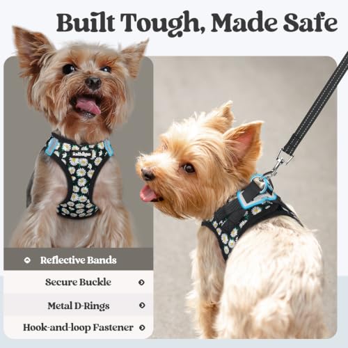 Dog Harness Small Sized and Leash Set (Midnight Daisy / S (chest: 15.1 - 16.5"))