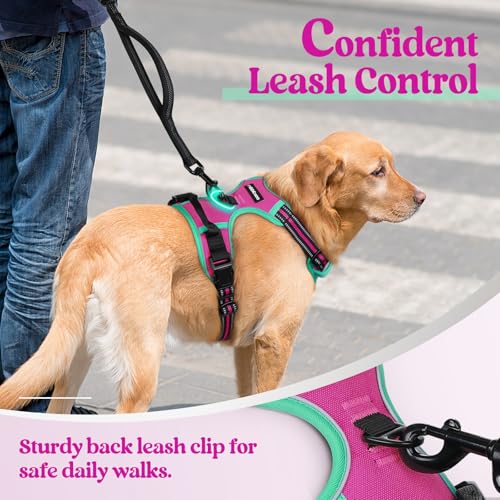 Dog Harness No Pull for Small Dogs with 2 Leash Clips (Small / Hot Pink & Turquoise)