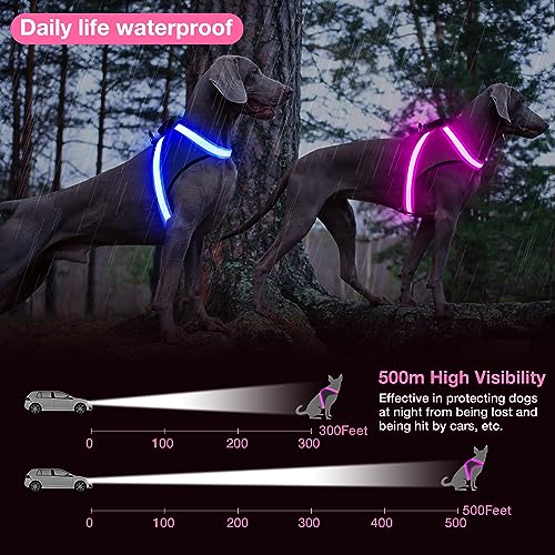 Light Up Dog Harness (Small / Pink)