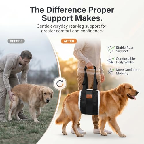 Dog Lifting Sling Dog Lift Harness for Back Legs (Medium / Black)