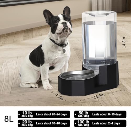 8L Large Dog Water Dispenser (Black / 8L Without Filter)