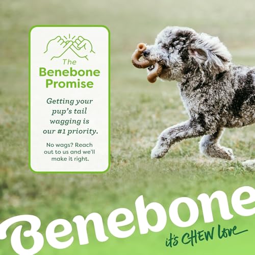 7 Pack Dog Chew Toys for Aggressive Chewers (Medium / 7 Pack)