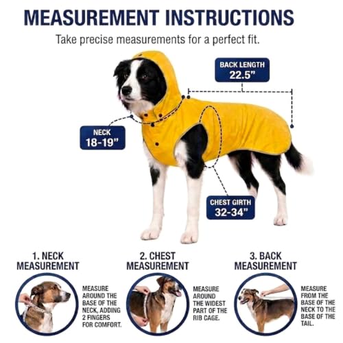 Dog Raincoat for Medium to Large Dogs (Large)