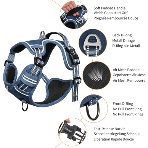 Dog Harness for Medium Dogs No Pull Dog Vest Harness with Soft Padded Handle Reflective for Outdoor Training (M / Royal Blue)