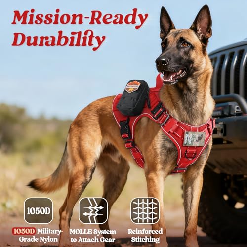 Tactical Dog Harness for Small (Red Reflex / Small)