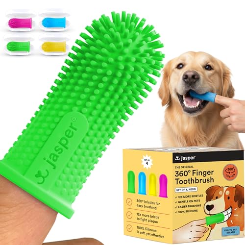 Dog Toothbrush (Neon (4-pack))