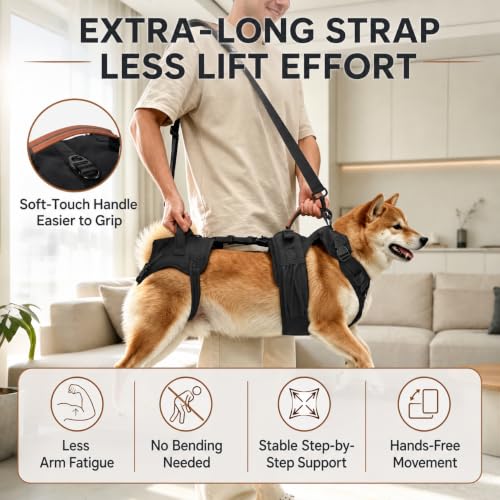 Dog Lift Harness for Senior and Injured Dogs (M)