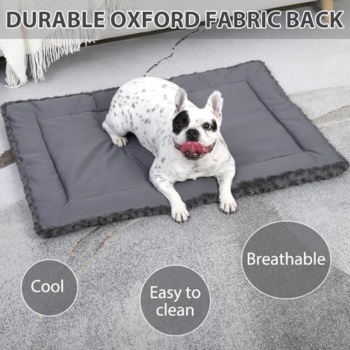 Washable Dog Bed Mat Medium Size Fluffy Pet Crate Pad 21x13 (Grey / 21.00" x 13.00" x 1.50")