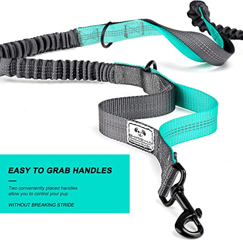 Retractable Hands Free Dog Leash with Dual Bungees for 2 Dogs (Gray)