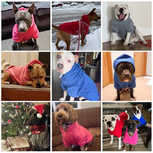 Dog Hoodie for Large Medium Small Dogs (Orange / X-Large)