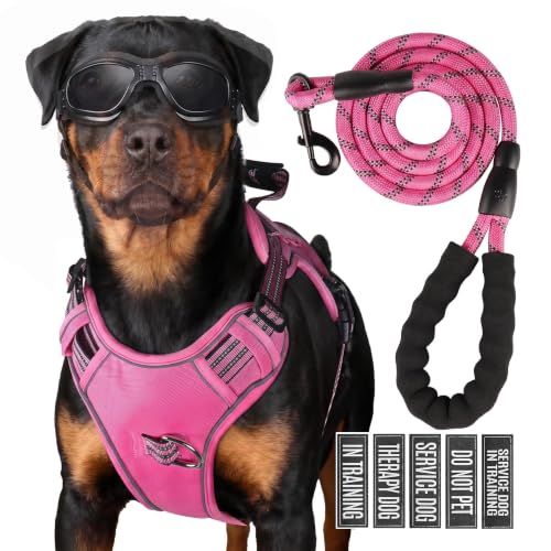 Dog Harness and Leash Set for Large Dogs (Rose Red / L)