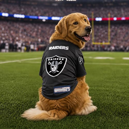 NFL Las Vegas Raiders Stretch Pet Jersey (Las Vegas Raiders / Large)