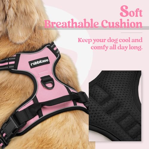 Dog Harness No Pull Medium Sized with 2 Leash Clips (Medium / Pink)