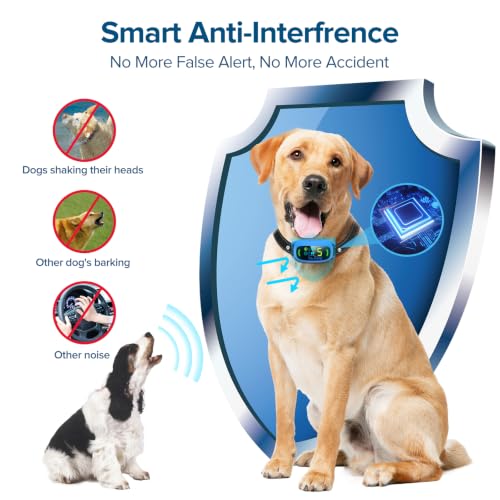 Dog Bark Collar (Blue)