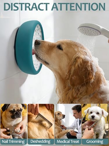 Dog Lick Bowl with Brush and Scraper (Teal / Small)