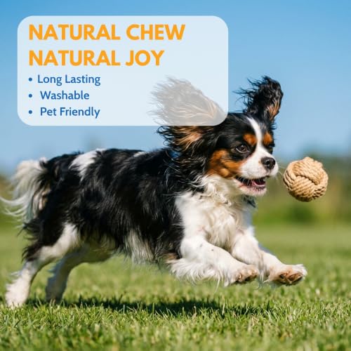 Dog Rope Toys for Small Dogs