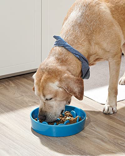 Slow Feeder Dog Bowls Ceramic (Vortex Blue / L-3 Cups)
