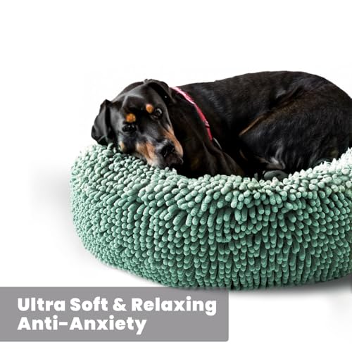Cloud K 9 Bed for Dogs & Cats (Large (40''X40'') / Seafoam Green)