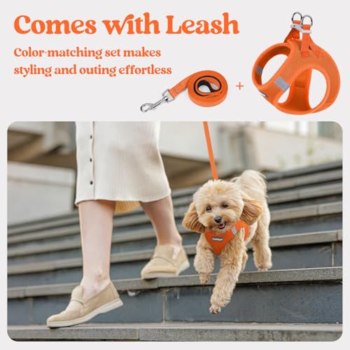 Dog Harness Small Sized and Leash Set (Orange / S (chest: 15.1 - 16.5"))