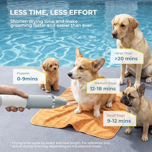 Portable Dog Dryer