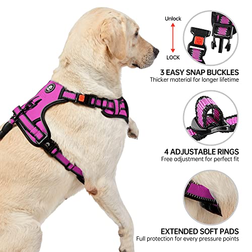 Dog Harness for Medium Sized Dog (Fuchsia Pink / Medium)