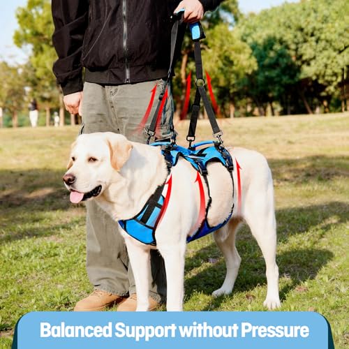 Dog Lift Harness for Medium Dogs (Blue / Medium)