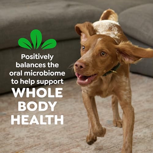 Large Natural Dental Dog Treats (4 Count (Pack of 1))
