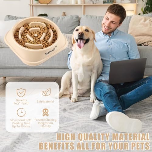 Slow Feeder Dog Bowls for Medium Dogs & Cats (Medium / Beige)