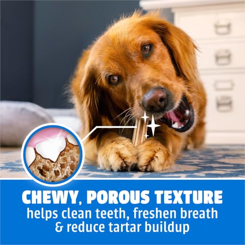 Daily Oral Care Dog Treats for Large Dogs (30 Count (Pack of 1))