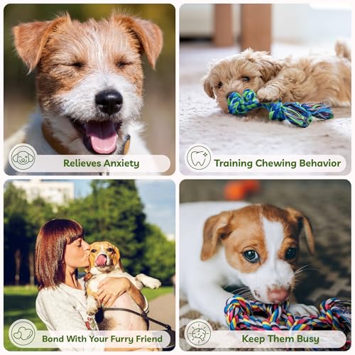 2 Pack Dog Rope Toy for Small Dogs (2 Pack-Small / Small)