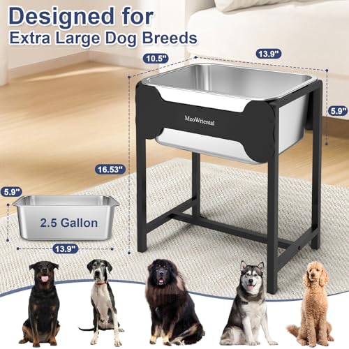 2.5 Gallon Elevated Dog Water Bowl for Large Breeds (16.5in Height)