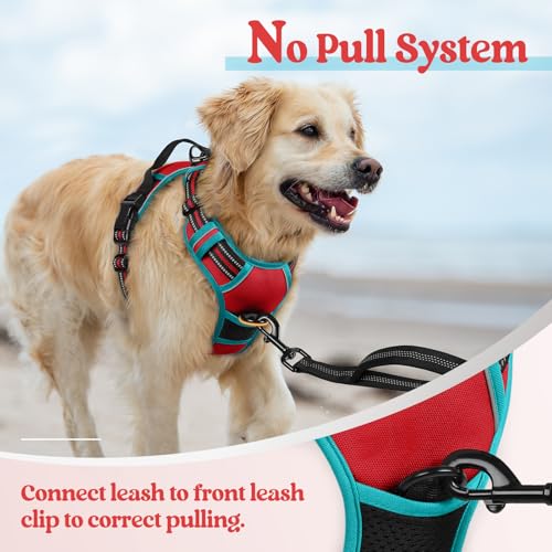Dog Harness No Pull for Large Dogs with 2 Leash Clips (Large / Red & Teal)