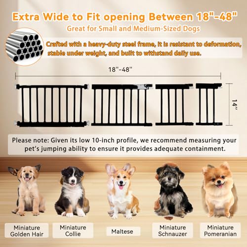 Dog Gate for Small Dogs (18-48"W*10"H / Black)