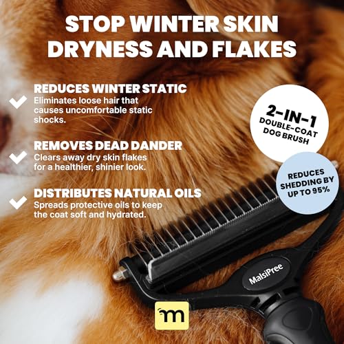 Dog Brush Large Black (Large / Black)
