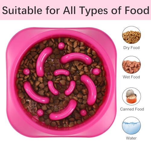 1 Pack Slow Feeder Dog Bowls (J-Purple / Medium)