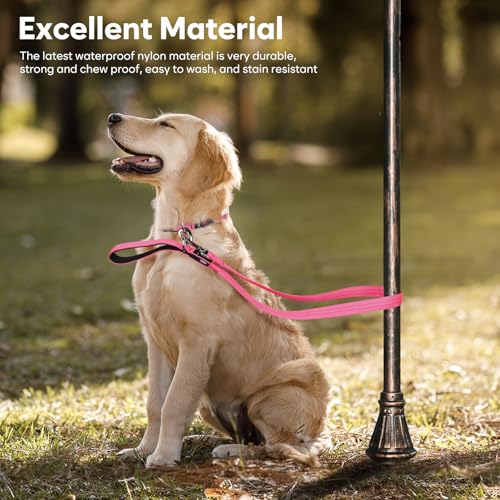 LED Dog Leash (Pink)