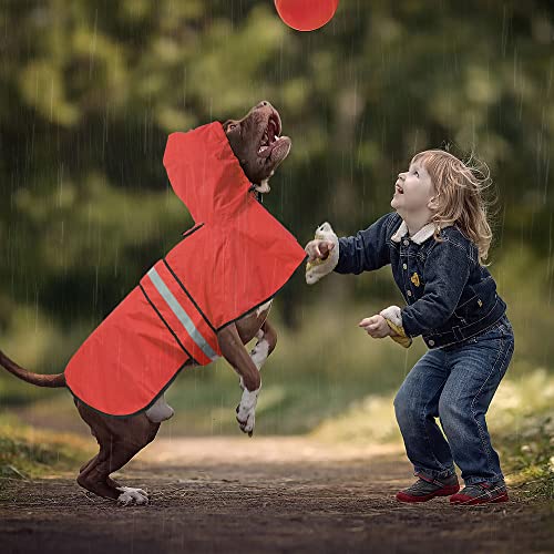 Waterproof Dog Raincoat (Red / Medium)