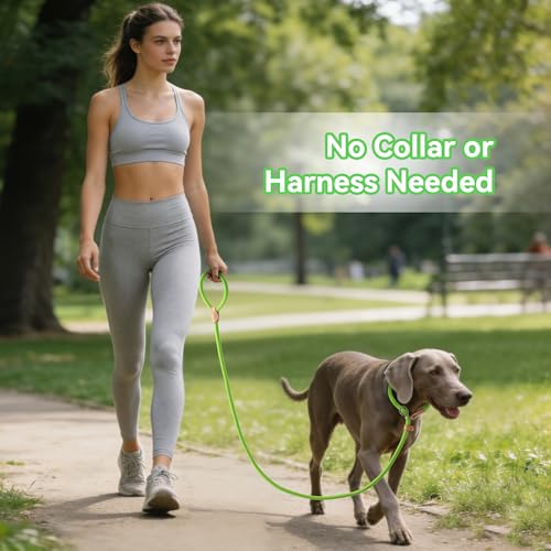 Heavy Duty Slip Lead No Pull Leash 6 (Lime Green / 6 Feet)