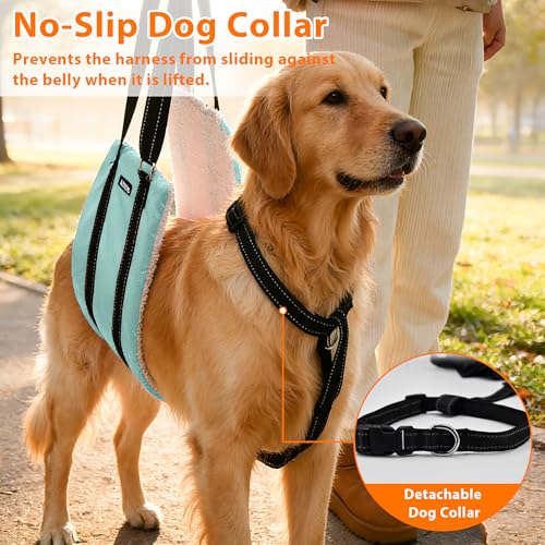 Dog Lift Harness for Senior or After Surgery (Turquoise / S)